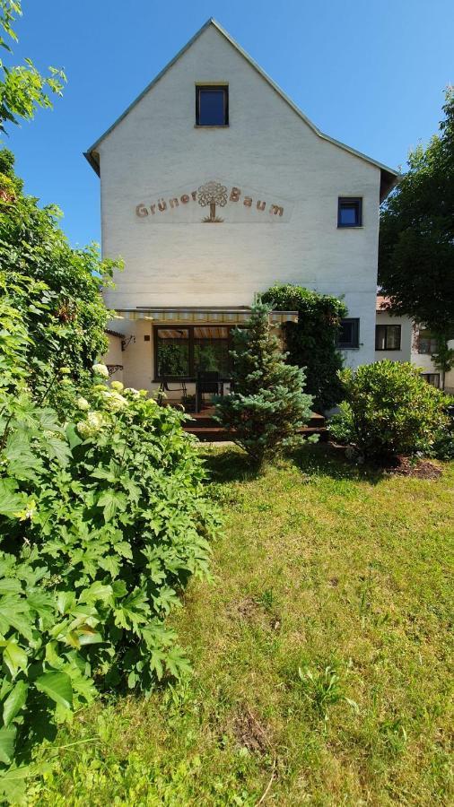 Gasthof Gruener Baum Kirchberg am Wechsel Exterior photo