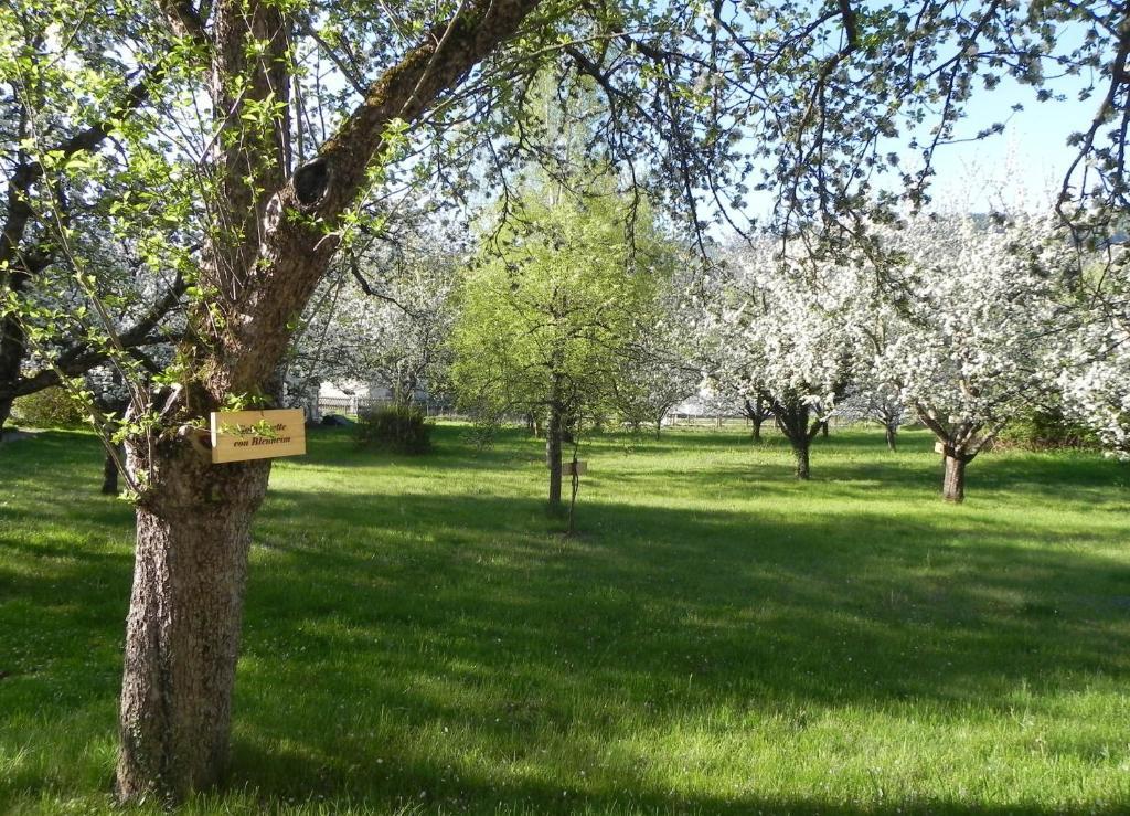 Gasthof Gruener Baum Kirchberg am Wechsel Exterior photo